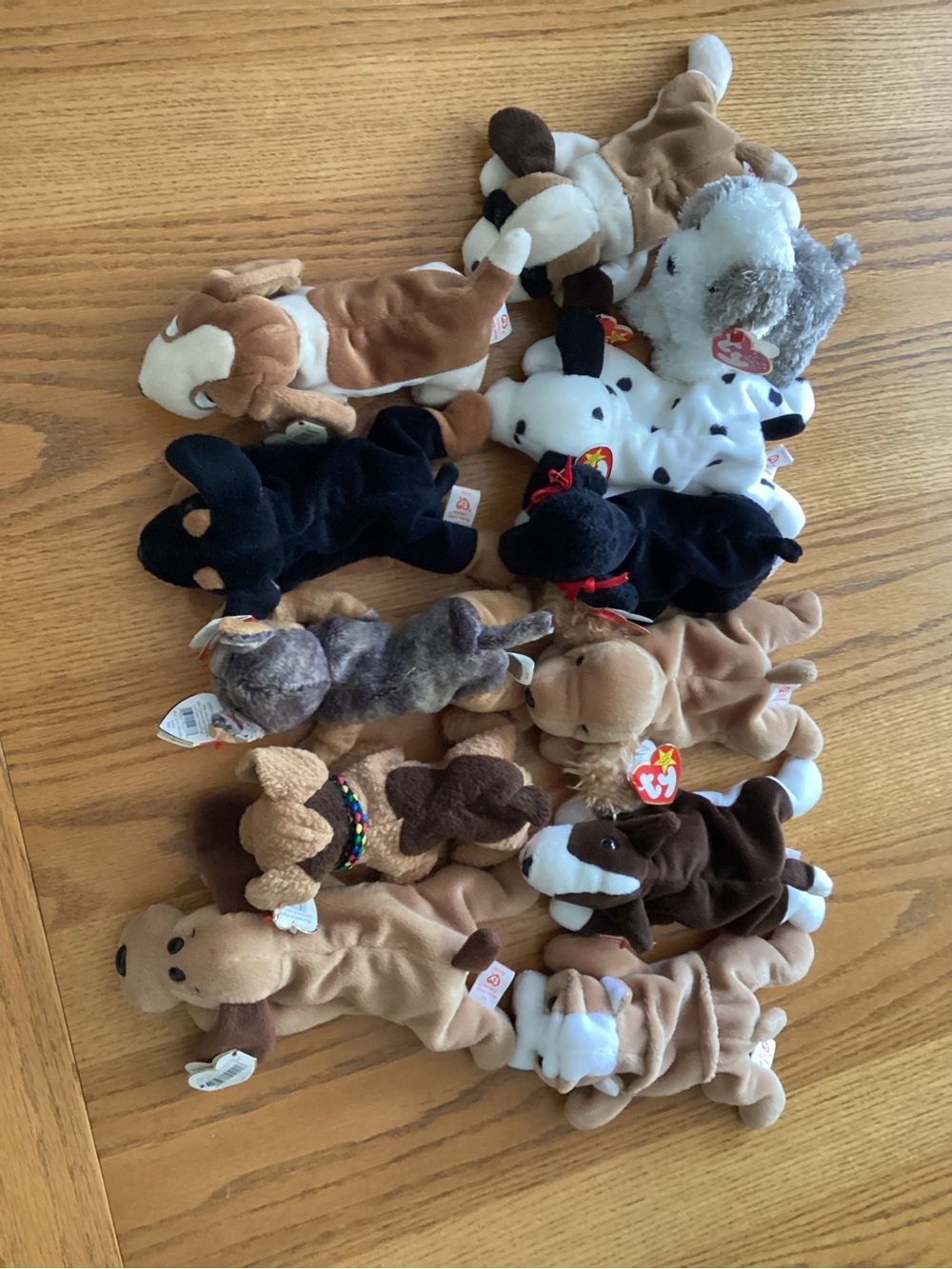 12! Ty Assorted Small Plush Dogs